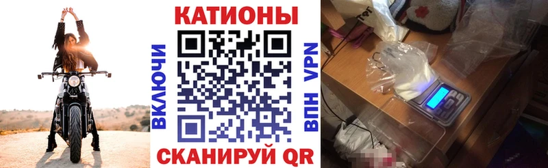 МЕФ  Тайга